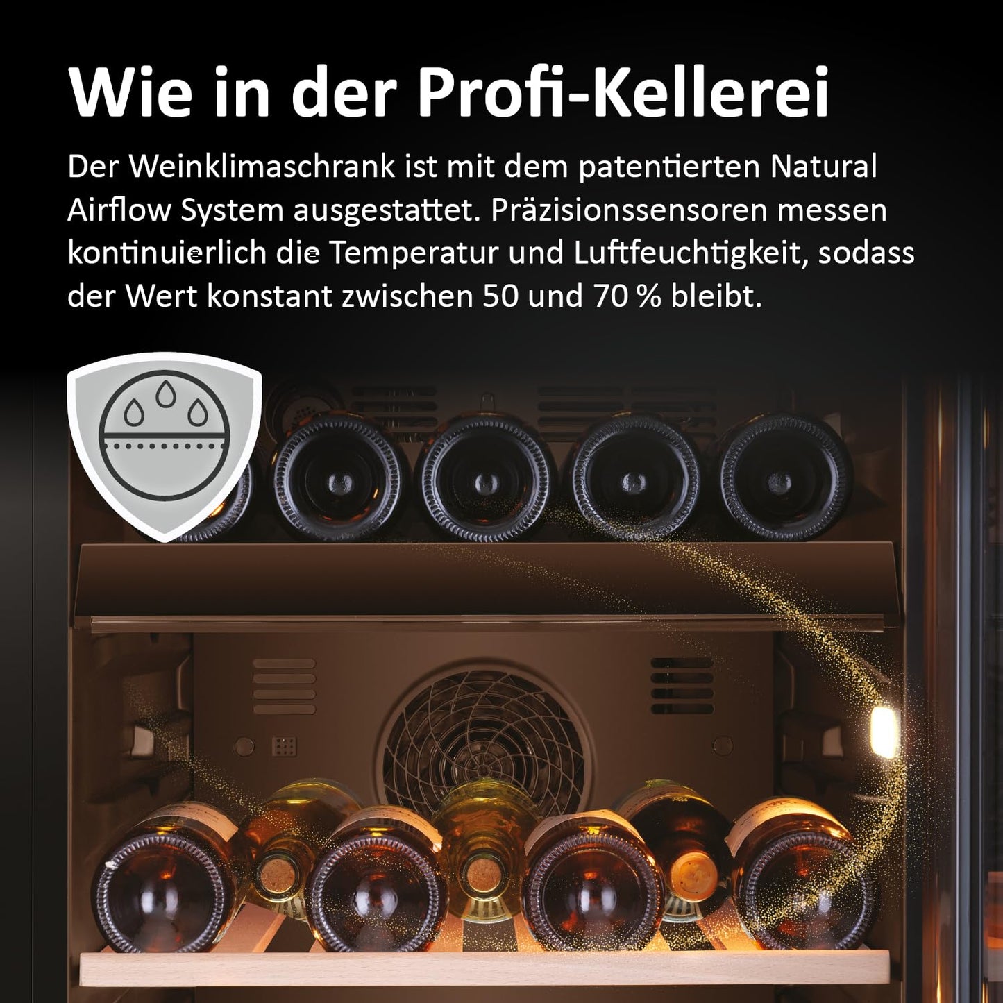 Haier 50 Serie 5 Weinkühlschrank – 79 Flaschen